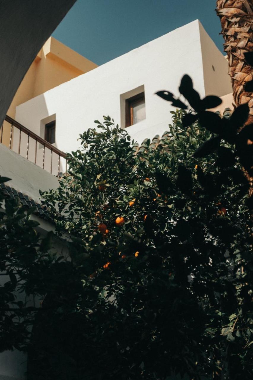 مبيت وإفطار مراكش Nosade Venue المظهر الخارجي الصورة
